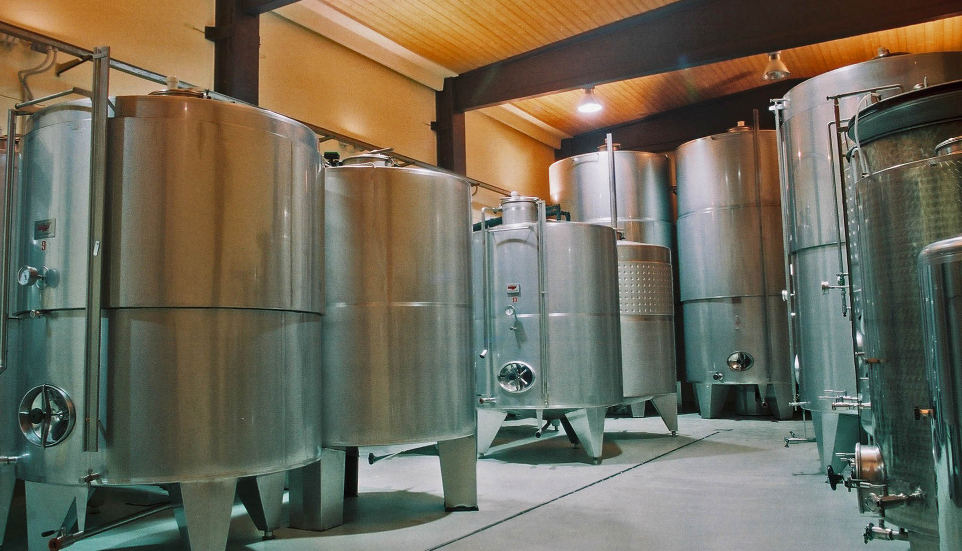 AZIENDA