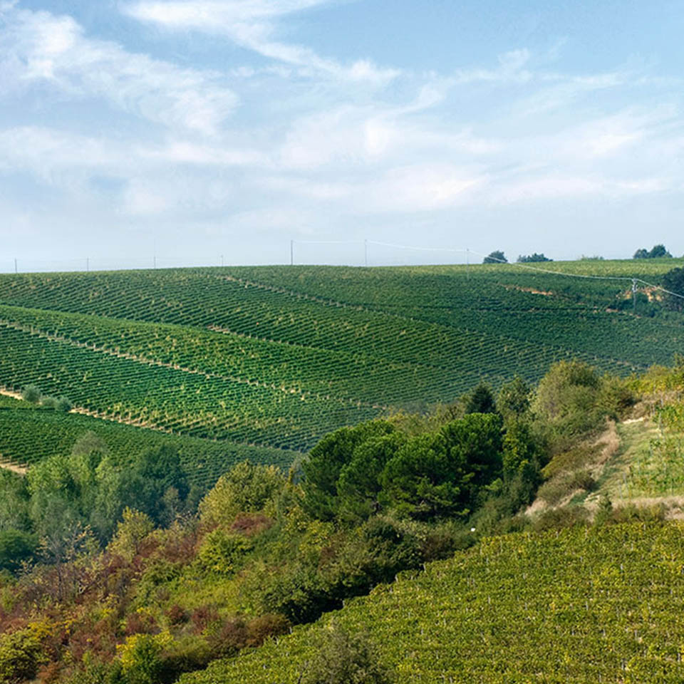 Il territorio del Gavi